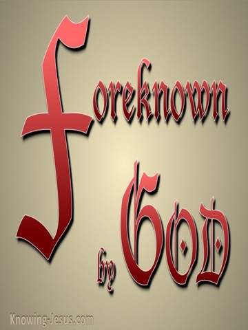 Foreknown of God (devotional) (gold)